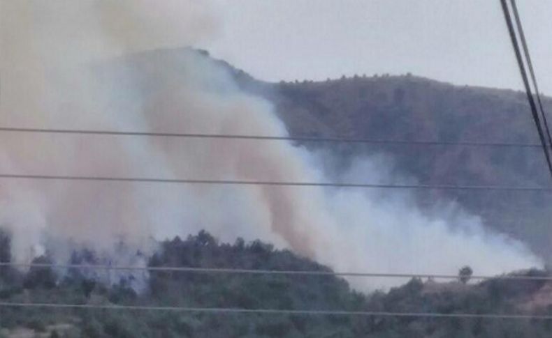 Beydağ'da orman yangını