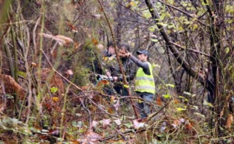 Ormanda parçalanmış bebek cesedi bulundu