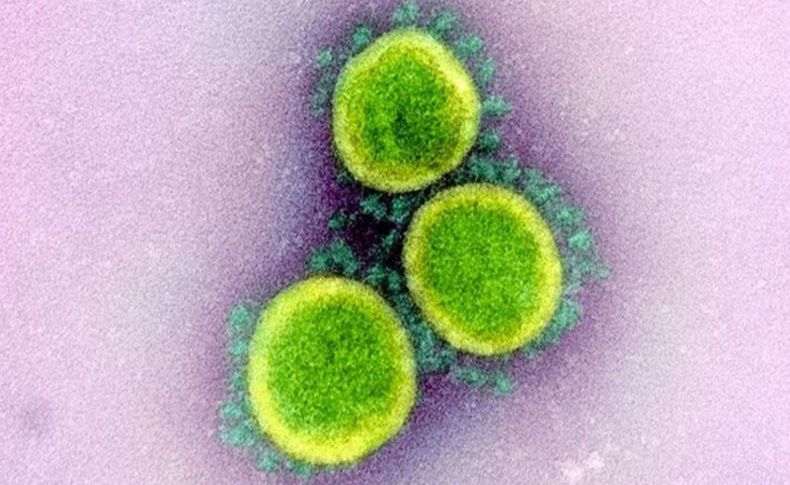 Bilim Kurulu Üyesi uyardı: Virüs 27 güne kadar vücutta kalabilir