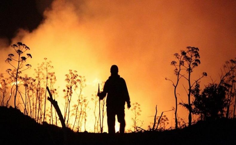 Bodrum’da yangın! Alevler yerleşim yerlerine yaklaştı