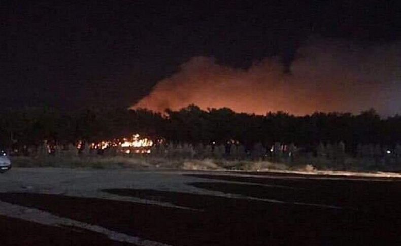 İzmir'de piknik alanında yangın