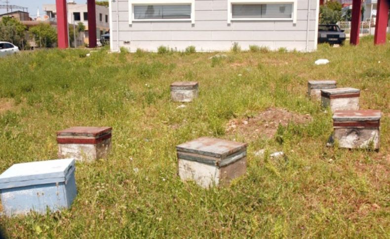 Bürokrasiye takılan 112 istasyonunun bahçesine arı kovanları konuldu