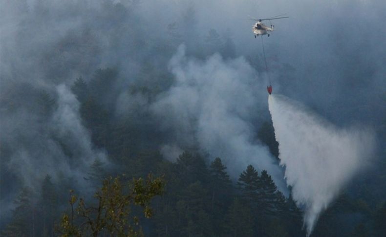 Çanakkale'deki orman yangınına havadan müdahale yeniden başladı