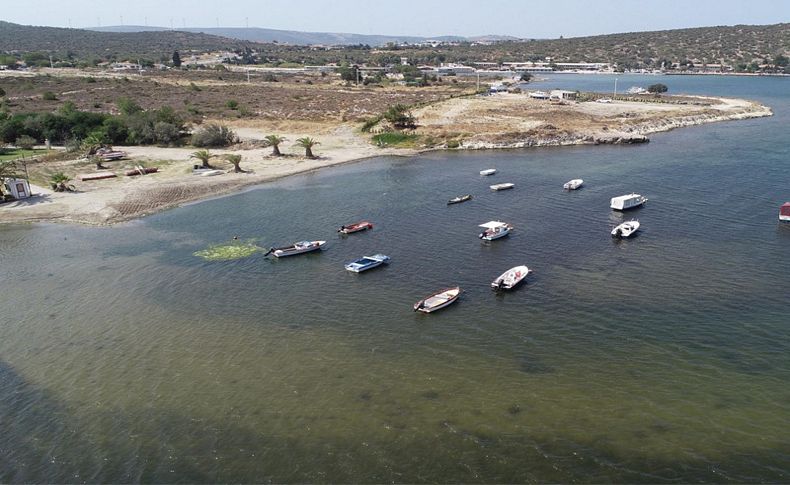 Çeşme'de kanalizasyon atıklarının denizi kirlettiği iddiası