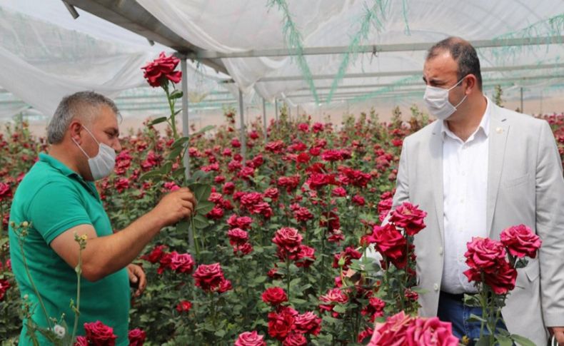 CHP’li Arslan kesme çiçek üreticisinin sorunlarını yerinde dinledi