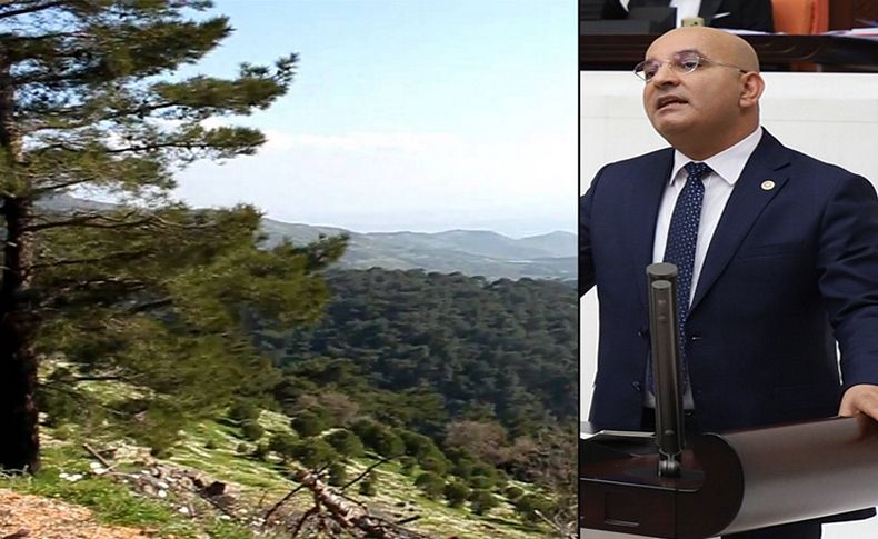CHP'li Polat'tan 'taş ocağı' çıkışı: Ormanlar hızla yok olmakta