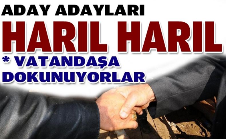 CHP İzmir'de aday adayları harıl harıl