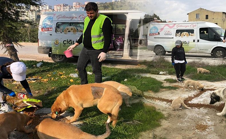 Çiğli Belediyesi sokak hayvanlarını unutmadı