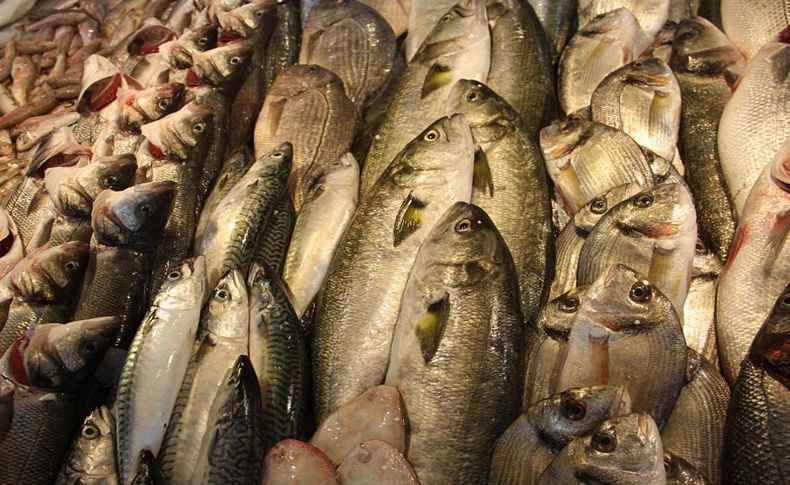 Dar gelirliye iyi haber: Balık bu sezon ucuz olacak