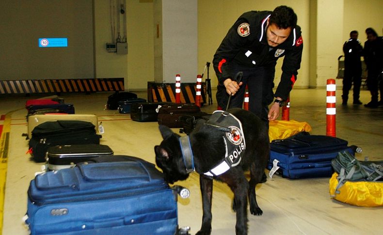 Dedektör köpeklere İzmir'de eğitim