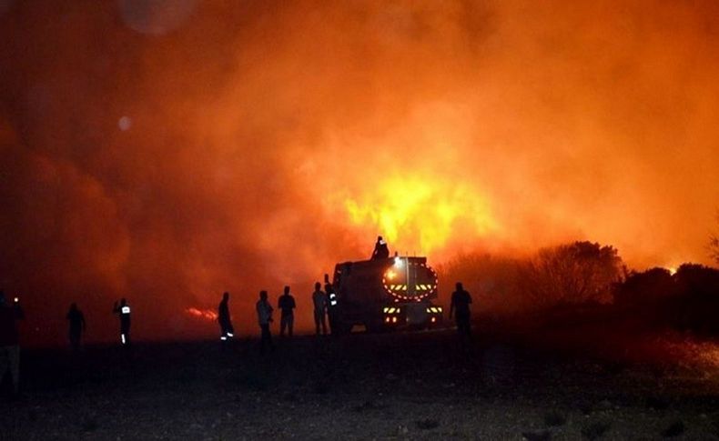 Didim'de yangın! 15 hektarlık alan kül oldu