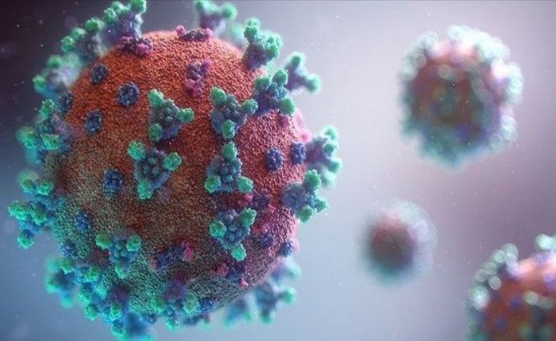 DSÖ: Mutasyonlu virüs 50 ülkede tespit edildi