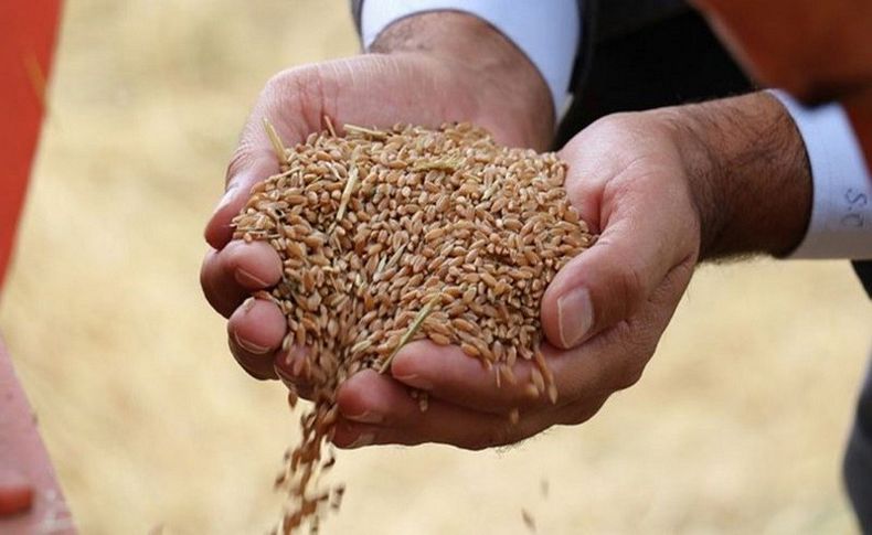 Dünyanın 26 günlük buğday kaldı