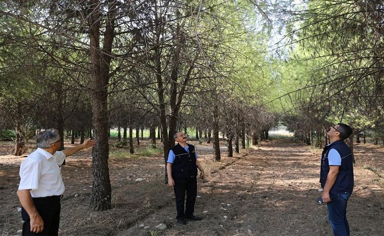 Ege Üniversitesi ormanı rehabilite ediliyor