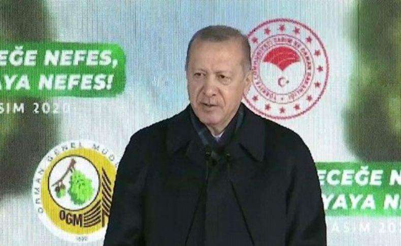 Erdoğan: Sahte çevrecilere aldırmadan çalışıyoruz