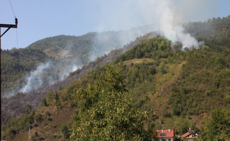 Ereğli'deki orman yangını 10 saat sonra kontrol altına alındı