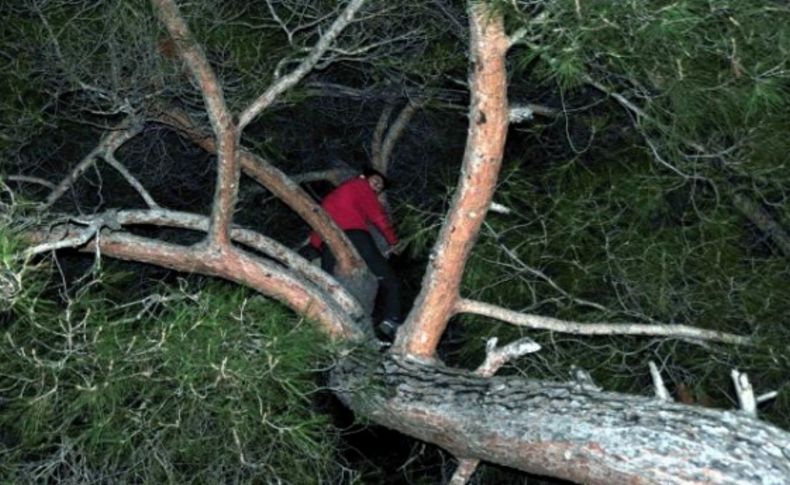 Eşi evi terkedince, çam ağacında intihara kalkıştı