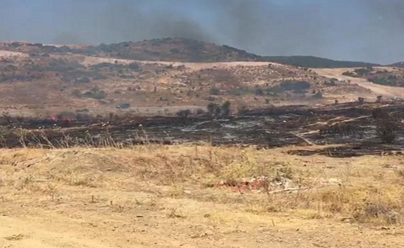 Foça'da 4 hektar makilik alan yandı