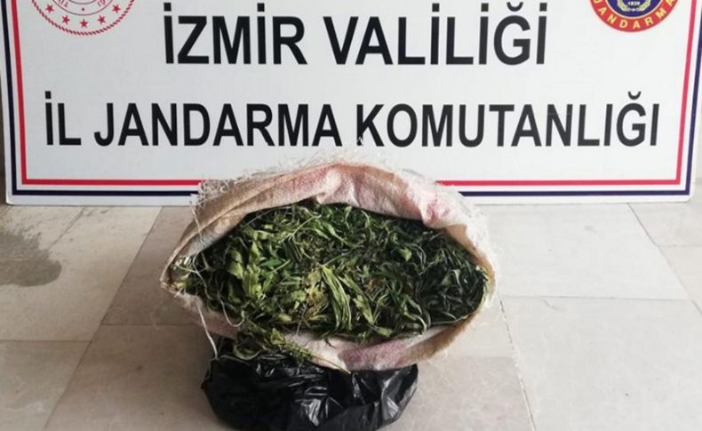 İzmir'de 3 kilo 125 gram esrar ele geçirildi