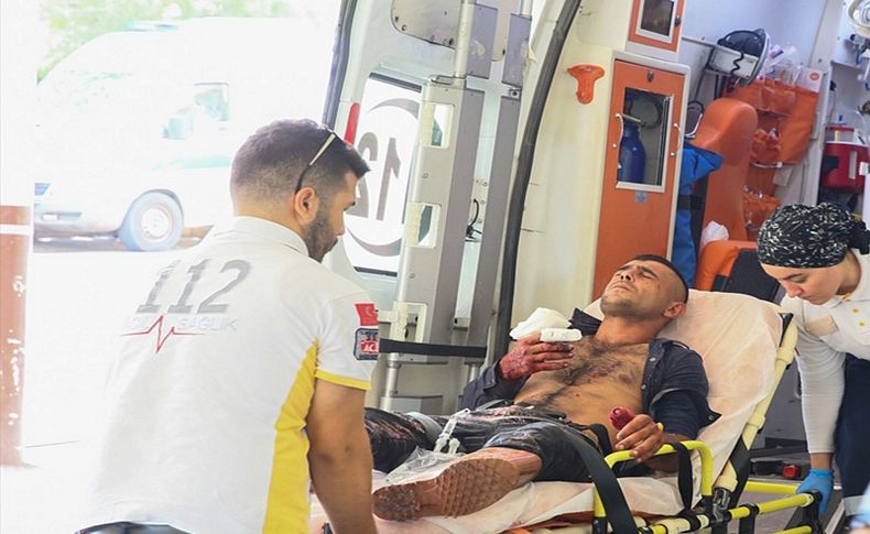 İzmir'de acemi kasaplar hastanelik oldu