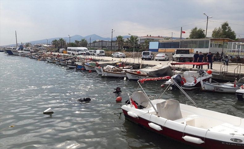 İzmir'de kaçak deniz patlıcanı denetimi