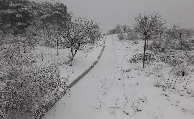 İzmir'de kar şaşkınlığı!  Yarım metreyi aştı
