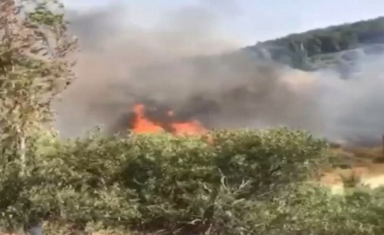 Urla ve Bergama'da orman yangını