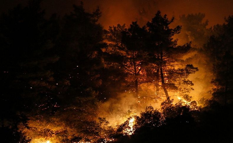 İzmir'de ormanlık alanın kundaklandığı iddia edildi!
