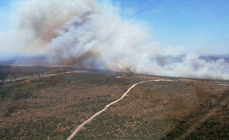 Çeşme'de 15 hektar makilik alan yandı