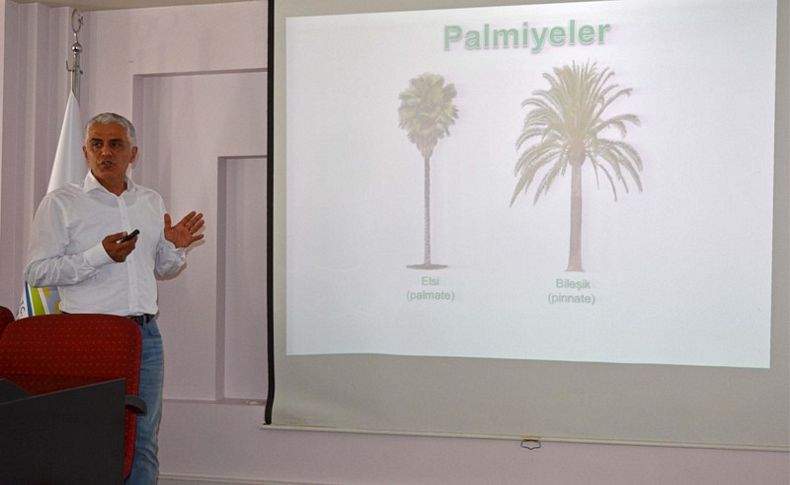 İzmir'de palmiye zararlısına karşı etkin mücadele