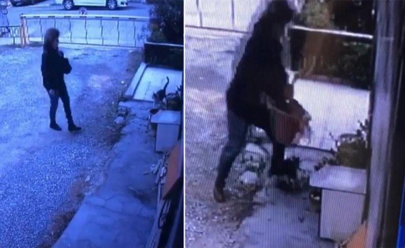 İzmir'de, 'saksı' hırsızlığı kamerada