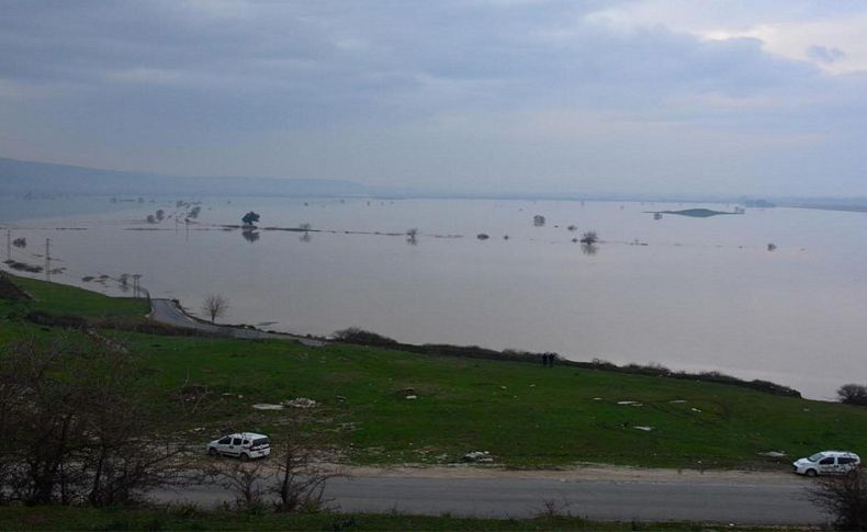İzmir'de tarım alanları su altında kaldı