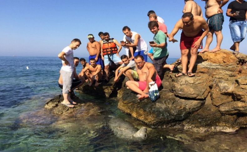 İzmir'de tatilcileri şaşırtan görüntüler