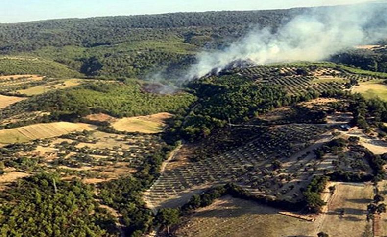 İzmir'de yine orman yangını... Bergama-Kınık sınırında yangın çıktı