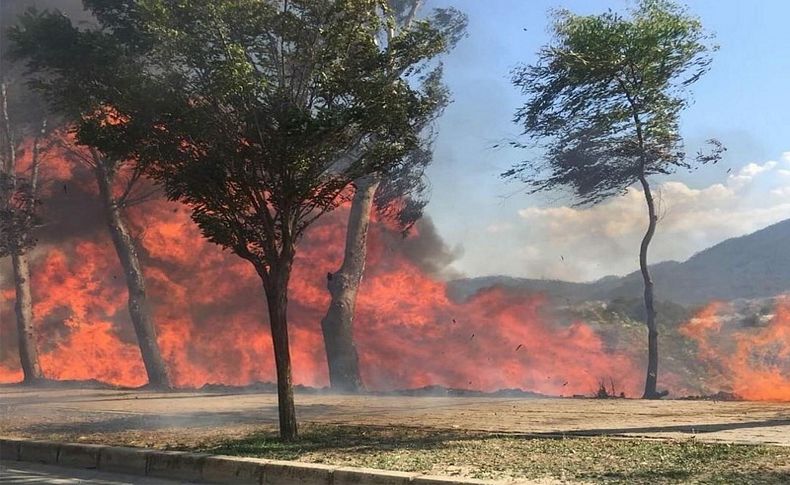 İzmir'de yol kenarındaki otluk alanda yangın