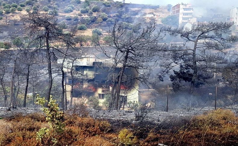 İzmir'de zeytinlik alanda yangın