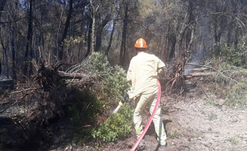 İzmir'deki orman yangınıyla ilgili yakalanan kişi hakkında karar