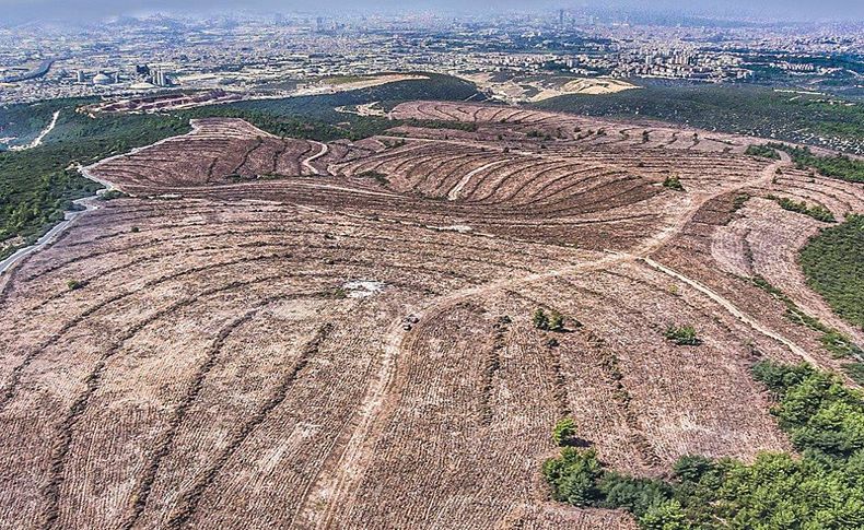 İzmir'in dağlarında yeni ormanlar tesis ediliyor