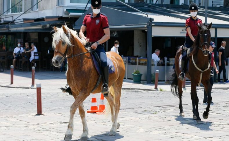 İzmir'in fayton atları Antonio ve Mariuş polis oldu!