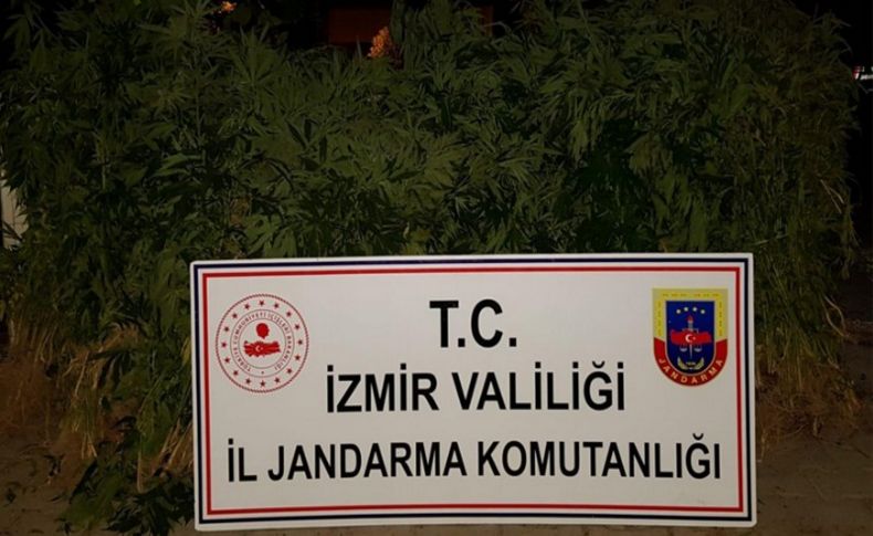 İzmir'in iki ilçesinde uyuşturucu operasyonu