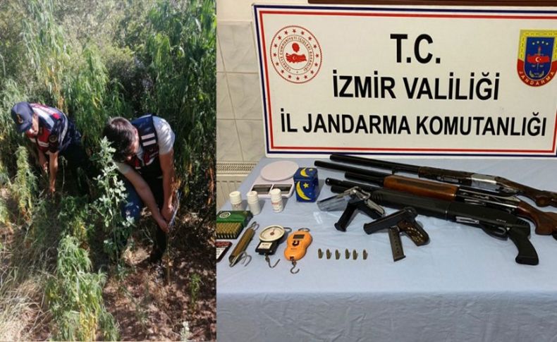 İzmir'in ilçelerinde uyuşturucu operasyonu: 9 gözaltı