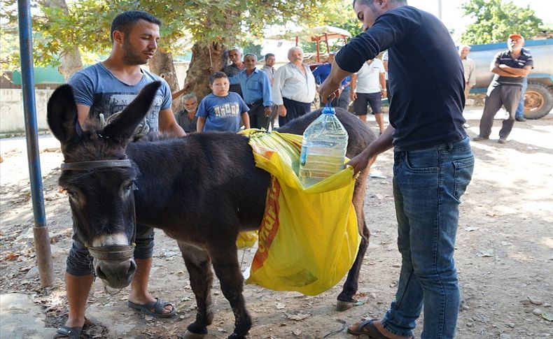 İzmir'in 'susuz mahallesinde' eşeklerle su taşınıyor