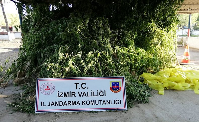 İzmir'in üç ilçesinde uyuşturucu operasyonu