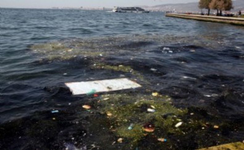 İzmir Körfezi'nde kirlilik aldı başını gitti!