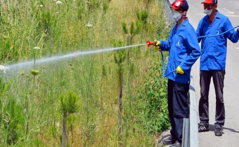 İzmir Büyükşehir Belediyesi sinekle mücadeleye 11 milyon lira ayırdı