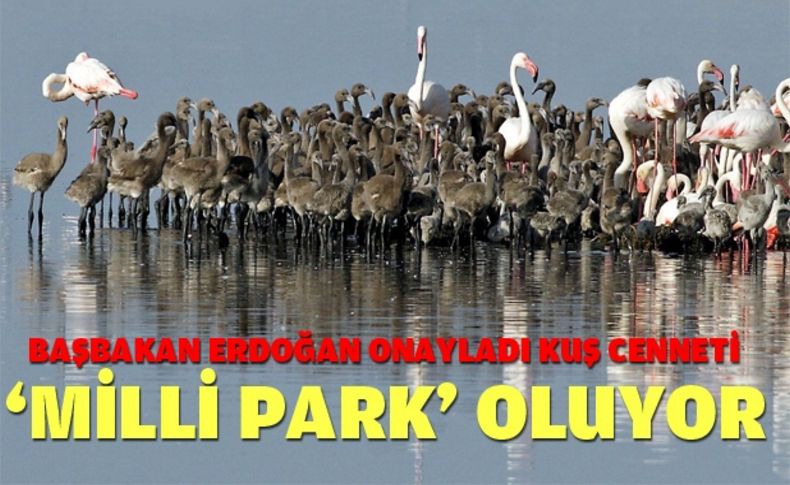 İzmir Kuş Cenneti 'Milli Park' oluyor
