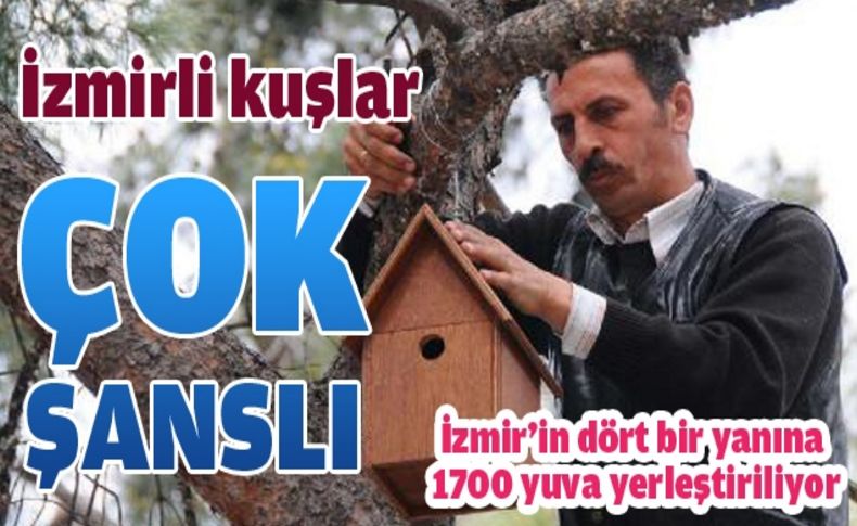 İzmir'de kuşlara 170 yuva