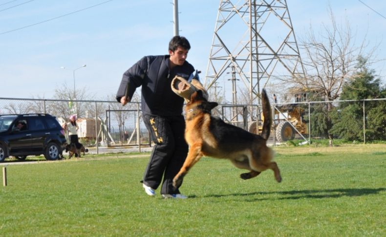 K-9 köpekleri Menemen’de yarıştı