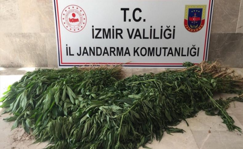 Kemalpaşa'da uyuşturucu operasyonu: 2 gözaltı