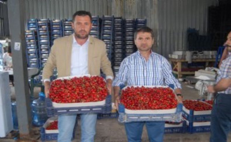 Kiraz'da ilk hasat raporu: Rekolte beklentisi iyi ama...